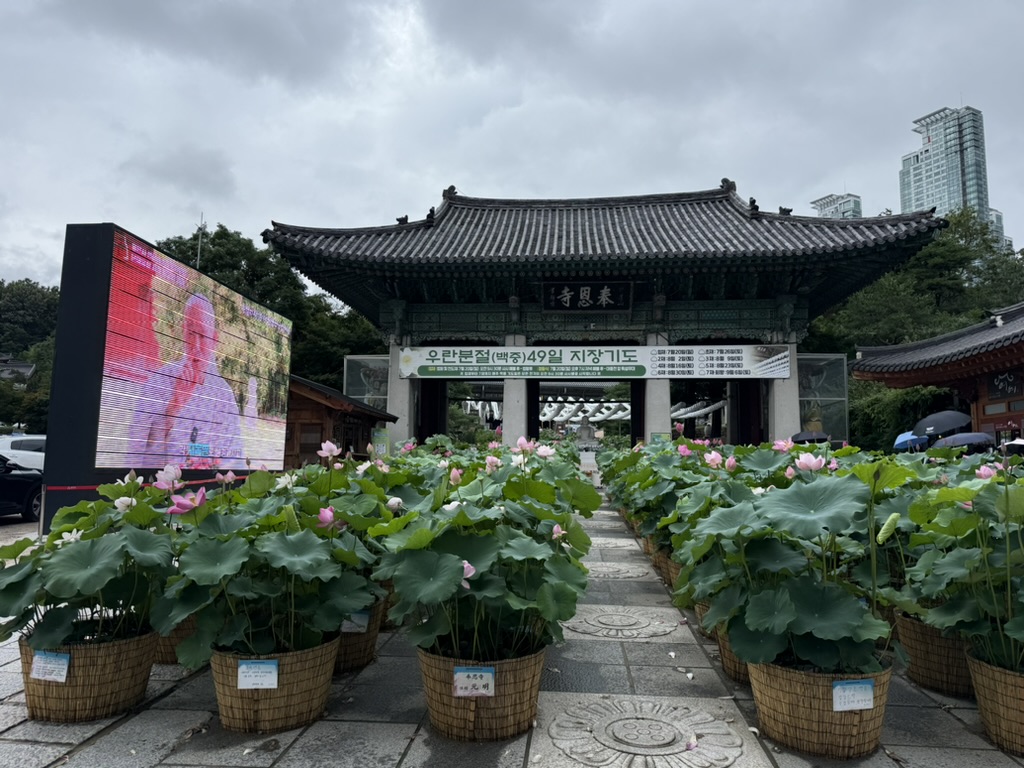 Buddhist Temple with rows of potted louts in the front